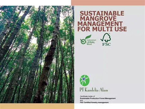 Apply a sustainable mangrove forest management strategy