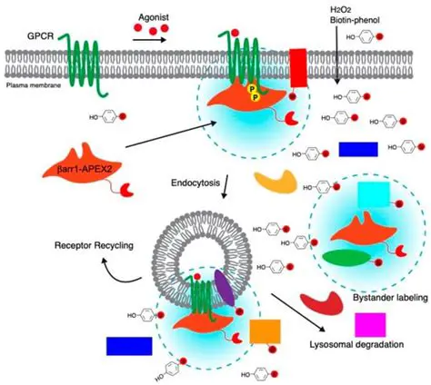 Applying the Biosecuritic System