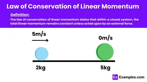 Applying the Law of Conservation of Momentum