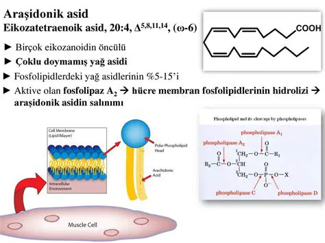 Asit Cozeltisinin Etkileri