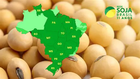Assertivas sobre Manejo da Soja no Brasil