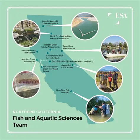 Assess habitat quality and quantity