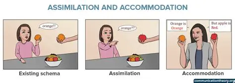 Assimilation and Accommodation