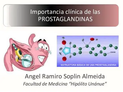 Aumento de prostaglandinas