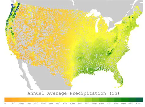 Average Precipitation Each Year