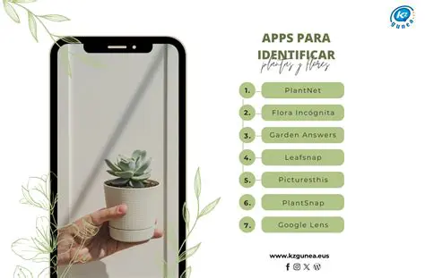 Ayuda a identificar las plantas