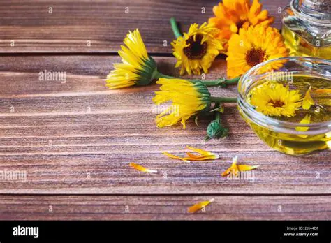 Background of Calendula Oil