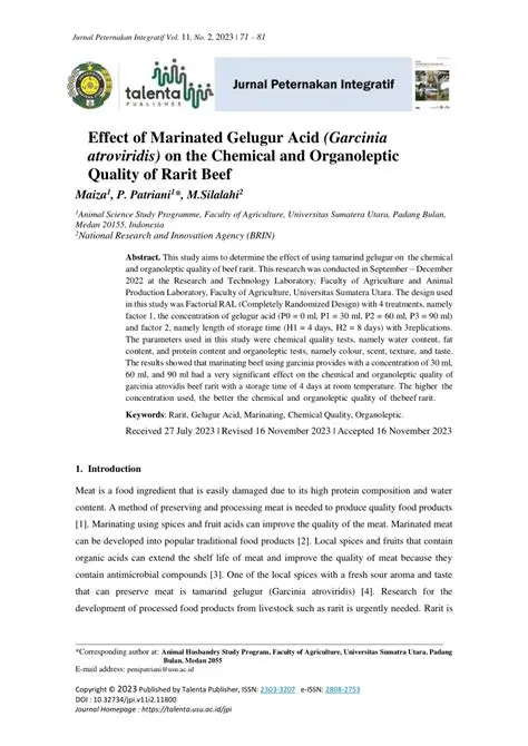 Background of Gelugur Acid