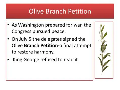 Background of the Olive Branch Petition