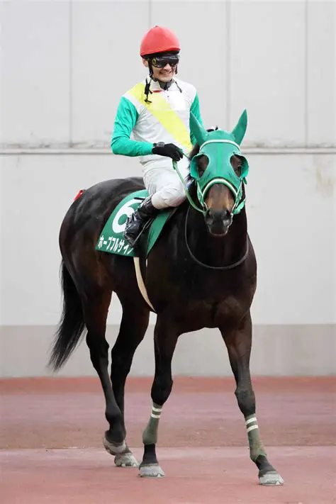 バロー：日本の地域経済を支えるスーパーマーケットの最新動向と未来展望