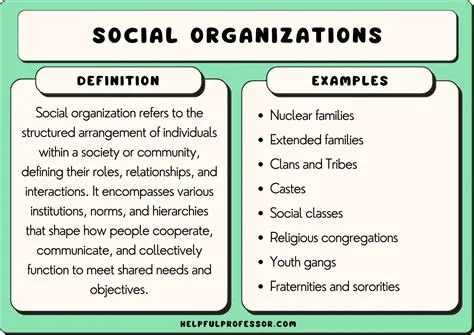 Based on social organization