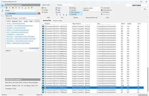 Batch Renaming and File Management