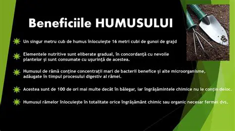 Beneficiile Hartei Chimice