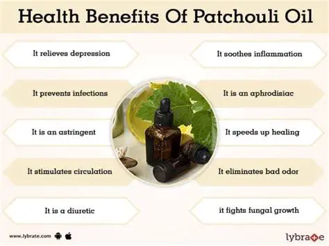 Benefits of Patchouli Cultivation