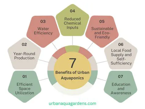 Benefits of Urban Aquaponics