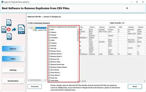 Benefits of Using a Duplicate Remover