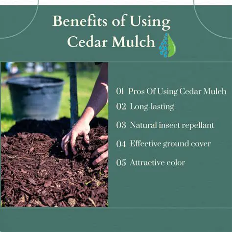 Benefits of Using CEDAR LS