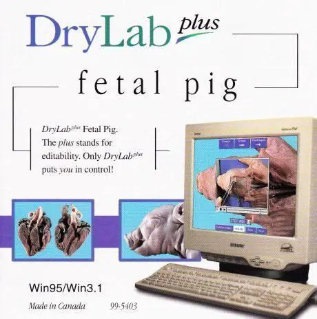 Benefits of Using DryLab Plus Fetal Pig