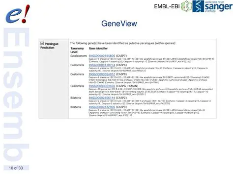 Benefits of Using GeneView