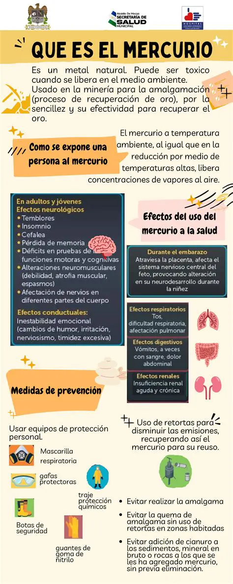 Benefits of Using Mercurio