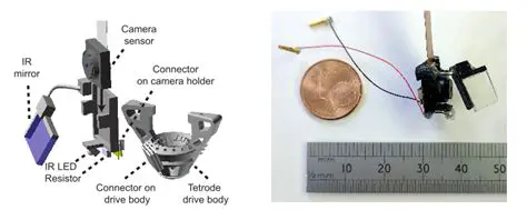 Benefits of Using MouseCam