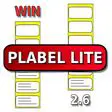 Benefits of Using PLABEL WIN LITE