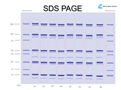 Benefits of Using SDS Rev A
