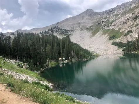 Benefits of Using Time Trek