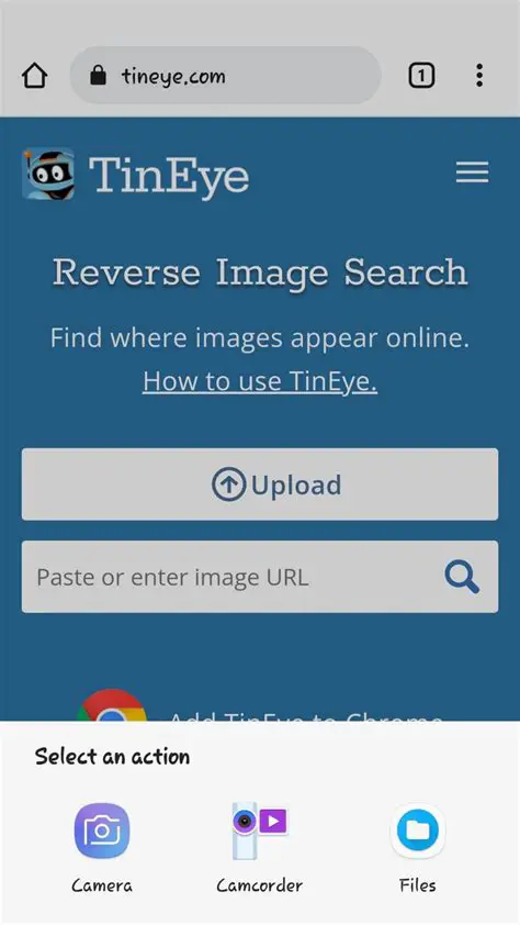 Benefits of Using TinEye Reverse Image Search