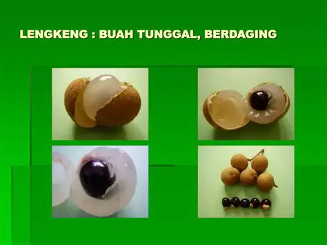 Berat Rata Satu Buah Kelengkeng