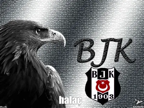 Beşiktaş JK: A Deep Dive into Turkey's Black Eagles