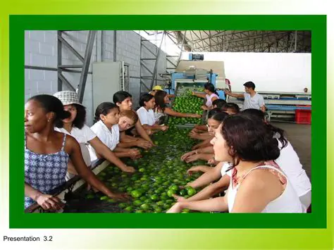 Better fruit and vegetable quality