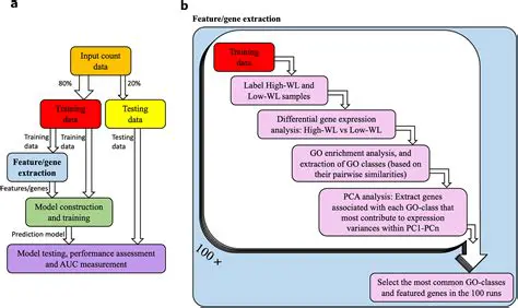Better understanding of the Code of Points