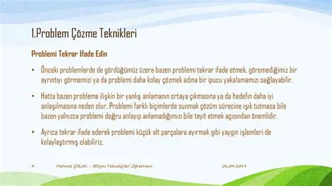 Bilgisayar Bilimi Problemi