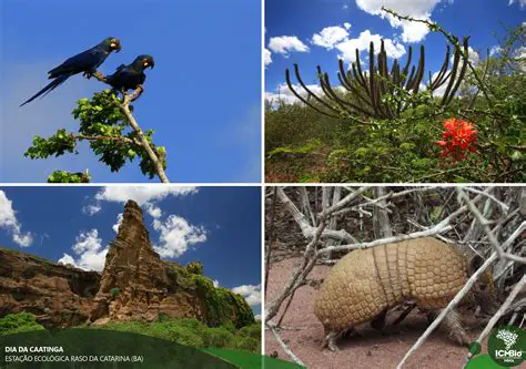 Biodiversidade de ecossistemas