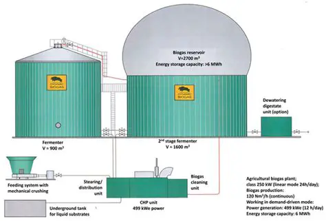 Biogas Production and Anaerobic Digestion