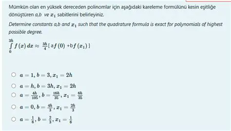 Birinci dereceden polinomlar