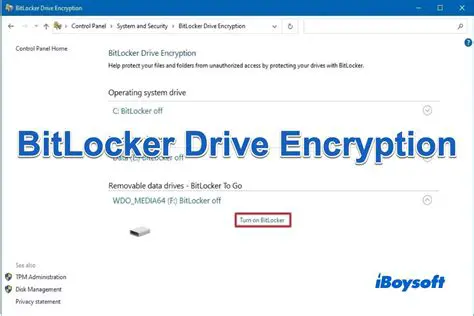 BitLocker Drive Encryption
