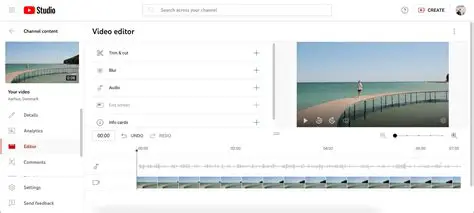 Black Bar Obscuring Top of YouTube Videos for Dark Mode or High Contrast Users in Edge