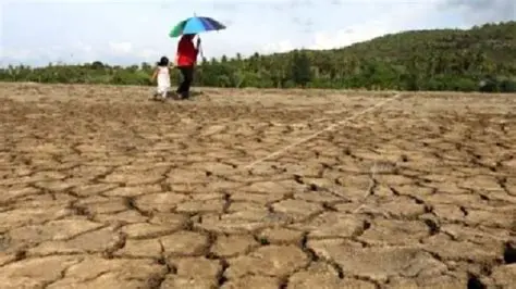 BMKG Predicts Indonesia Will Experience Long Dry Season in 2023