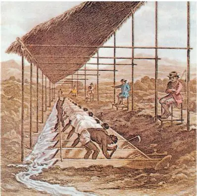 Bocage e a Sociedade Colonial