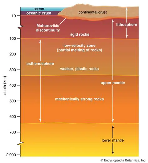 Bottom Density of the Crust