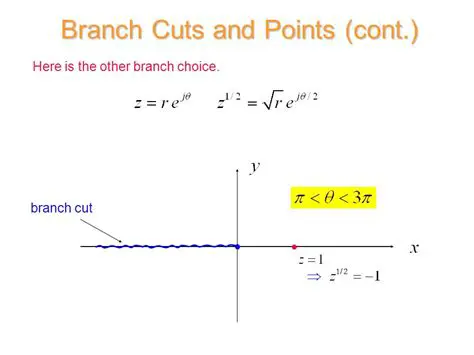 Branch Points and Branch Cuts