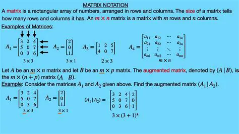 Breaking Down the Matrix Equation