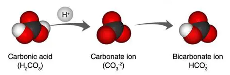 Breaking Down the Reaction into Ions