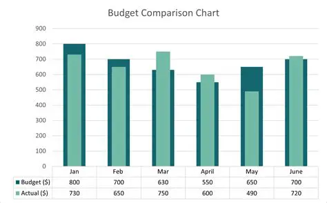 Budget Comparison with Realization