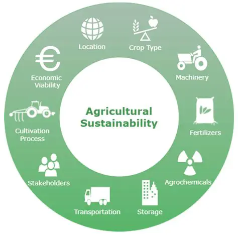 Building a Sustainable Agricultural Strategy