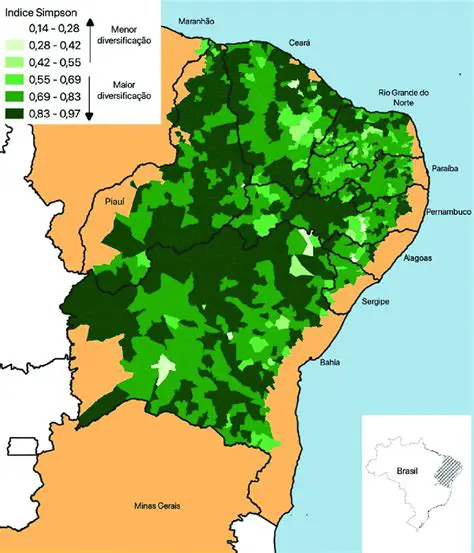 Cacimba: A Essência da Sobrevivência Hídrica e Cultural no Semiárido Brasileiro