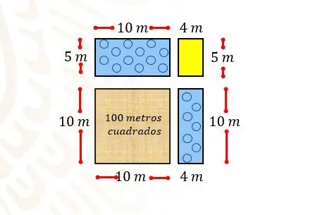 Calculando la Nueva Medida