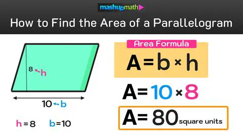 Calculating the Area for Each Option